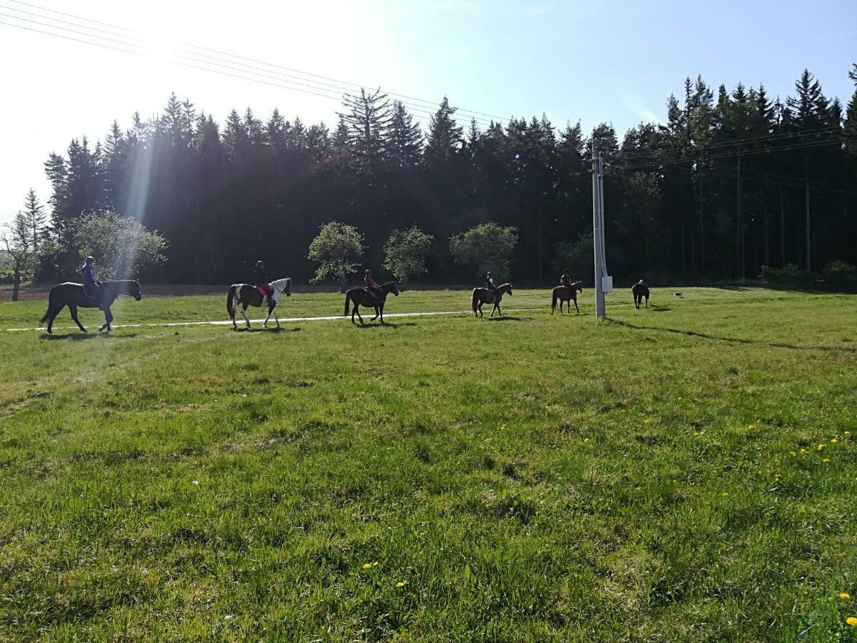 Farma Ranch Jelemek Daire Nebahovy Dış mekan fotoğraf