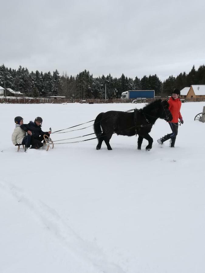 Farma Ranch Jelemek Daire Nebahovy Dış mekan fotoğraf