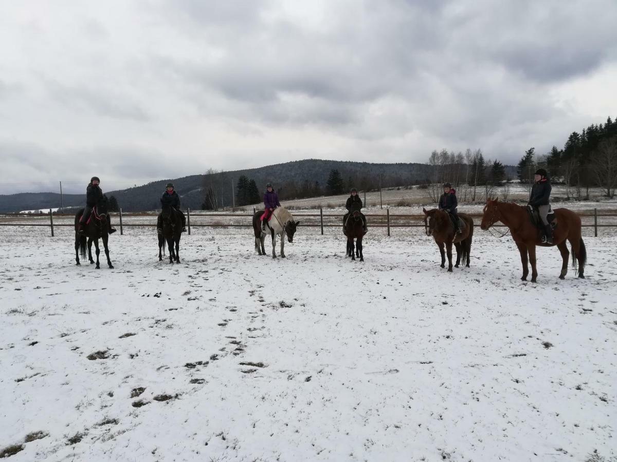 Farma Ranch Jelemek Daire Nebahovy Dış mekan fotoğraf